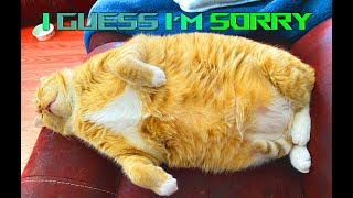 Never Ever Call Him Lapusso Again Anthony Larusso Says Hes Sorry