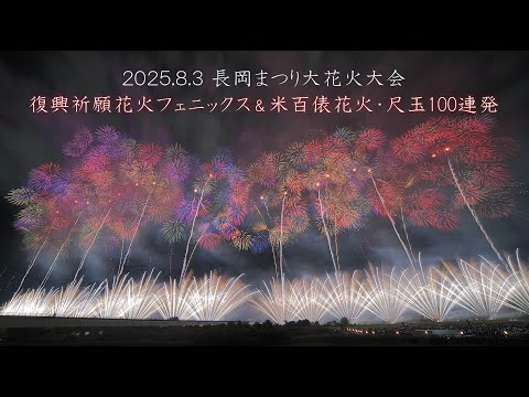 【はなさん専用】長岡大花火(25年玉皮) はなさん専用】長岡大花火(25年玉皮) はなさん専用】長岡大花火(25年玉皮)