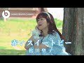 赤いスイートピー/松田聖子 Covered by 海老沢茜