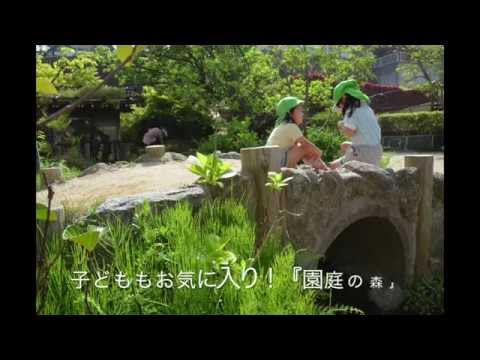 白水学園の紹介