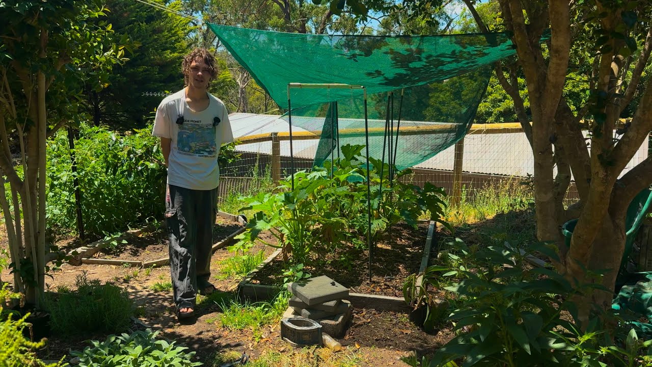 ASMR Gardening | Ep #3 | Zucchini Bed Construction