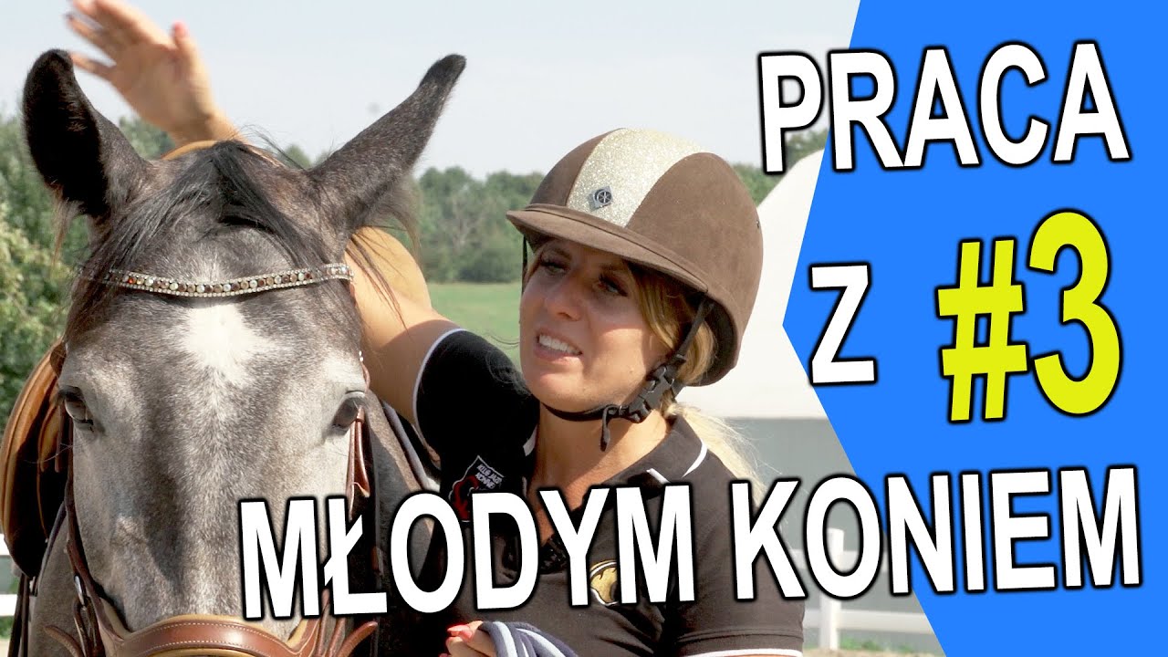 Praca z młodym koniem - Część 3