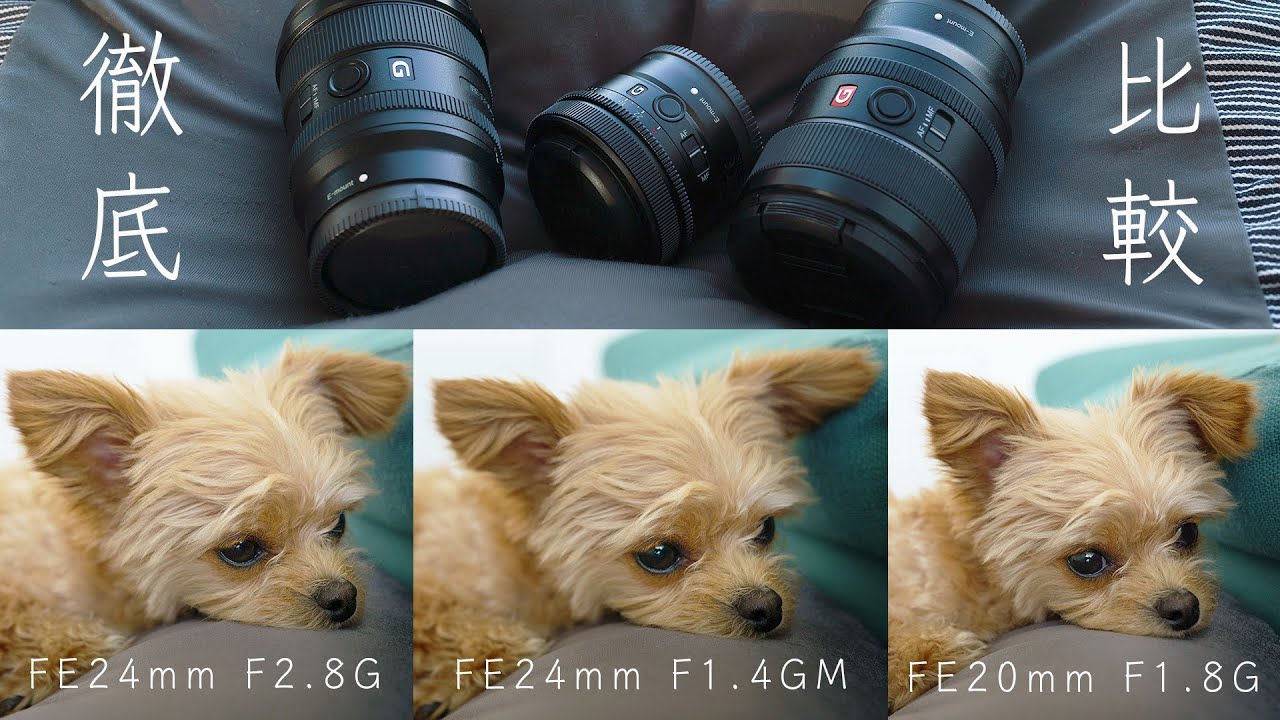 『FE24mm F2.8G』『FE24mm F1.4GM』『FE20mm F1.8G』徹底比較 ！どのレンズをメインにしようか！【作例あり】