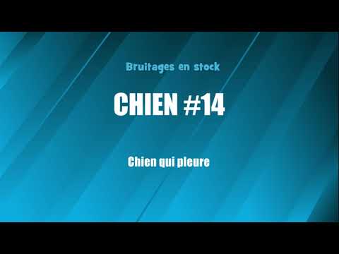 CHIEN #14 Chien qui pleure (bruitage gratuit)