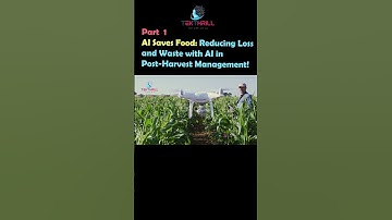 AI Saves Food: Reducing Loss and Waste with AI in Post-Harvest Management! Part 1 #ai #viral