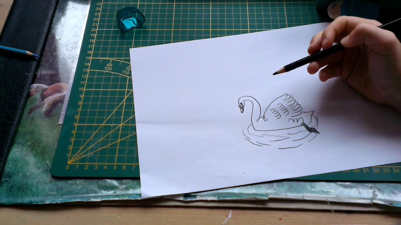 Zwaan tekenen