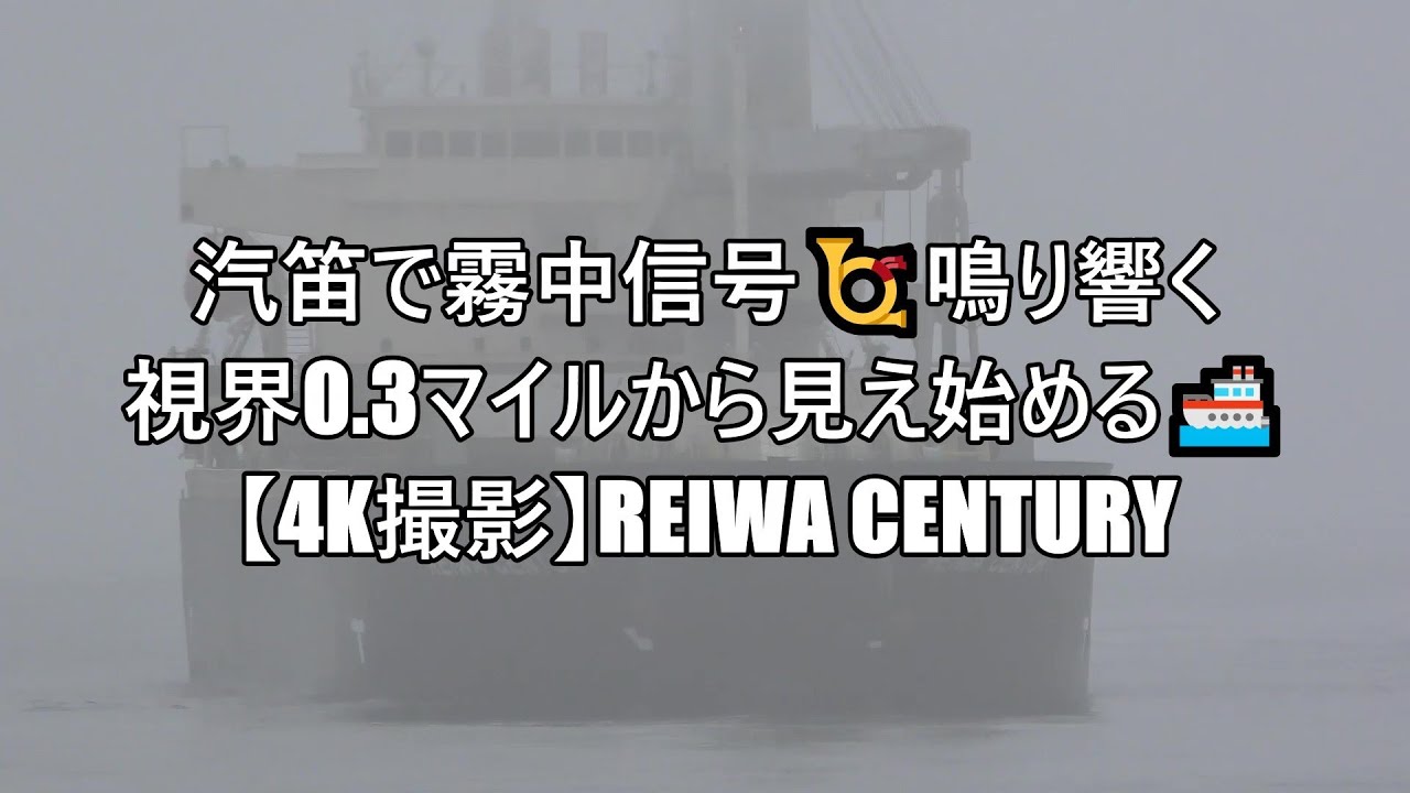 汽笛で霧中信号📯視界0.3マイルから見え始める🚢【4K撮影】REIWA