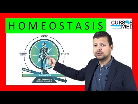 Vídeo: Homeostasis Del Cartílago En Salud Y Enfermedades Reumáticas