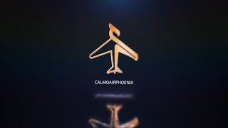 Introducing CalmoAirPhoenix: Your Ticket to Safe \& Affordable Air Travel!