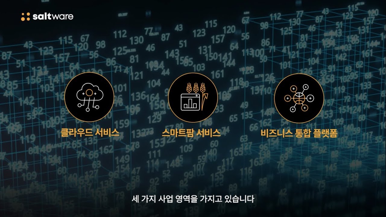솔트웨어 회사소개 영상 (Saltware Company Introduction)