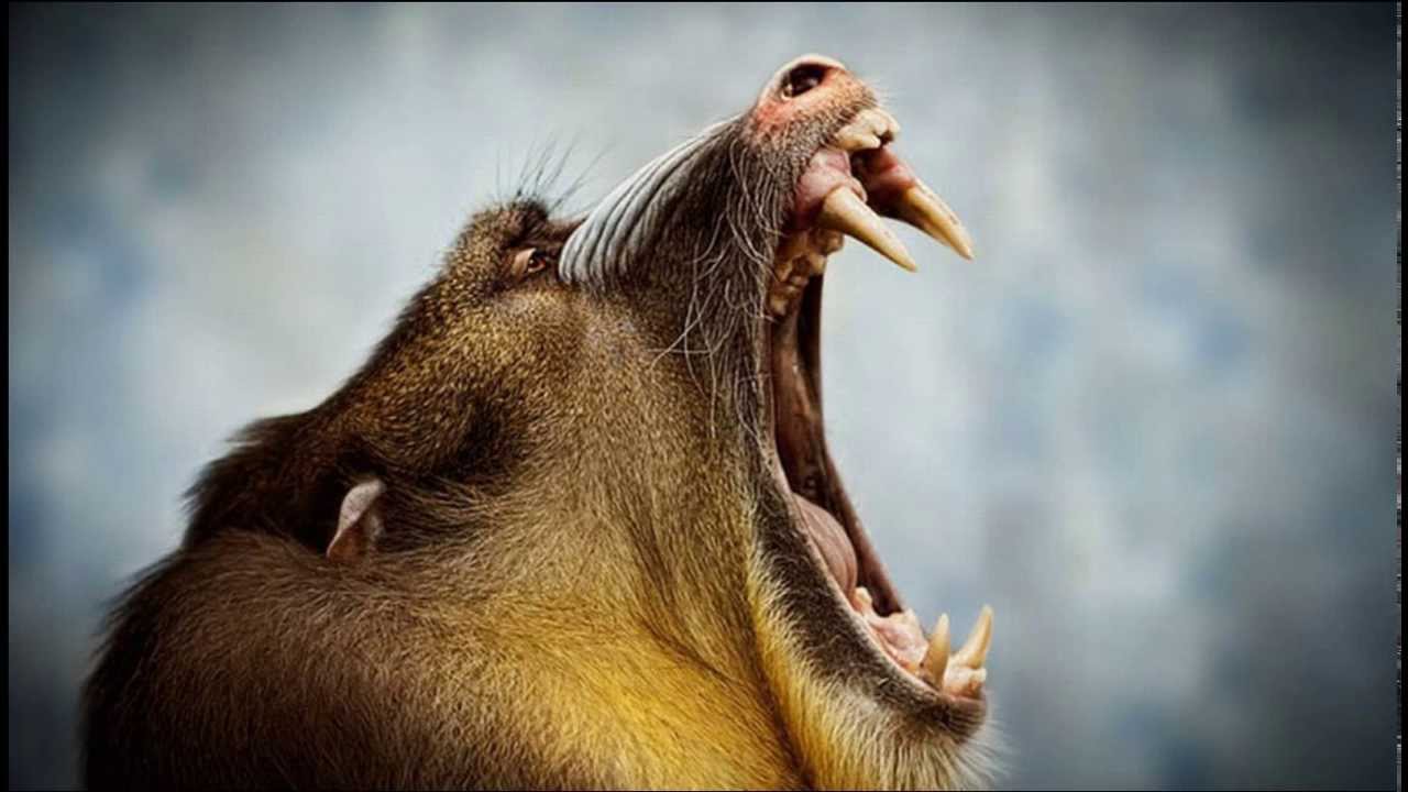 The Upbeats and Noisia - Loudmouth (Filthy Drum and Bass) [HD]