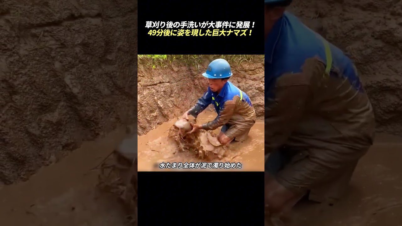 草刈り後の手洗いが大事件に発展! 49分後に姿を現した巨大ナマズ!