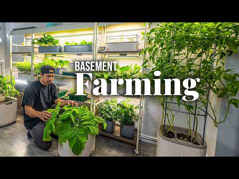 Thumbnail for Growing Food IS NOT Just For Outdoors Anymore!