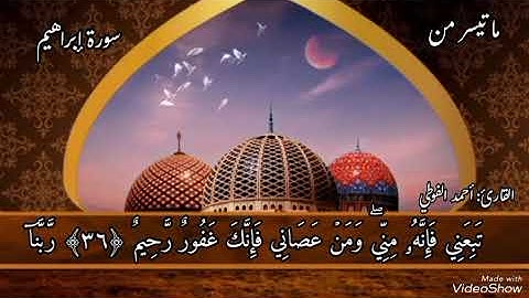 ما تيسر من سورة "إبراهيم" || الآيات (28 - 41)