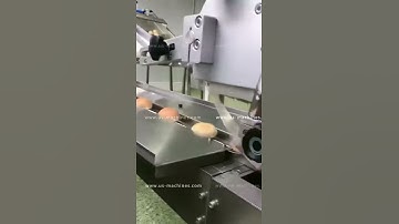 Food bread horizontal pillow type film wrapping bagging  packaging machine