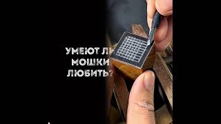 #nfedkoo#foryou#pov#viral#funny#skit