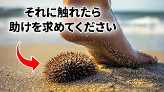 水中に潜む海の生物に関する奇妙な事実