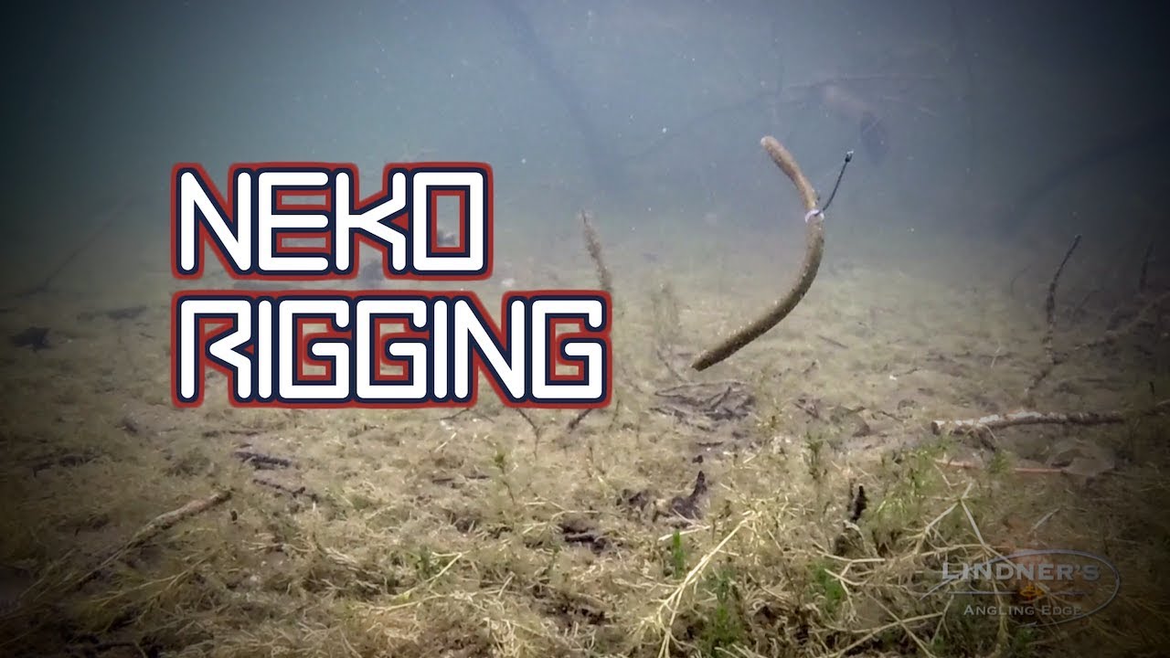 Seth Feider on Choosing the Perfect Hook for Your Neko and Wacky Rigs