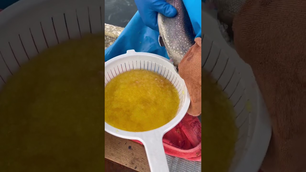 Caviar with fish
