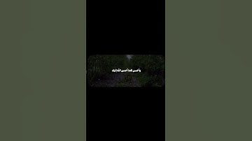 سورة القصص 🤍.. الآية 77 / القارئ: محمد أيوب 💚