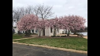 LFCC Nursing 2020