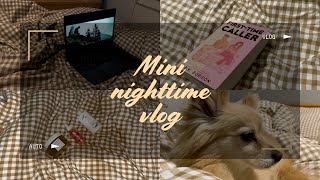 Mini Nighttime Vlog Slow & Chill Night