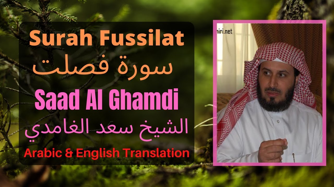 Surah Fussilat Saad Al Ghamdi [Arabic And English Translation] YouTube
