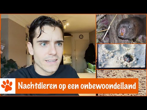 Enge beesten die de nacht verstoren!! | DierenpraatTV