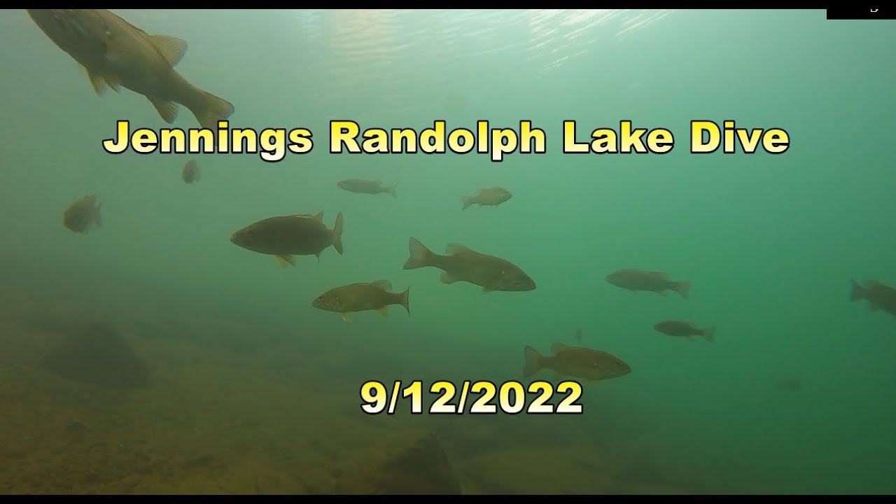 Jennings Randolph Lake Dive Our Best Dive YouTube