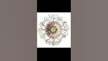 sacred geometry is the language of the universe  #shortsfeed #universe