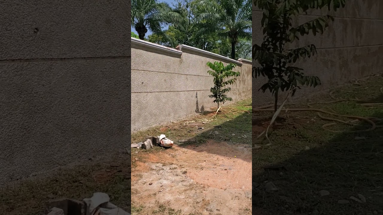 A man spent 100million to design his walls 🧱 