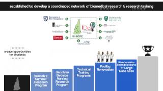 What is NH INBRE?