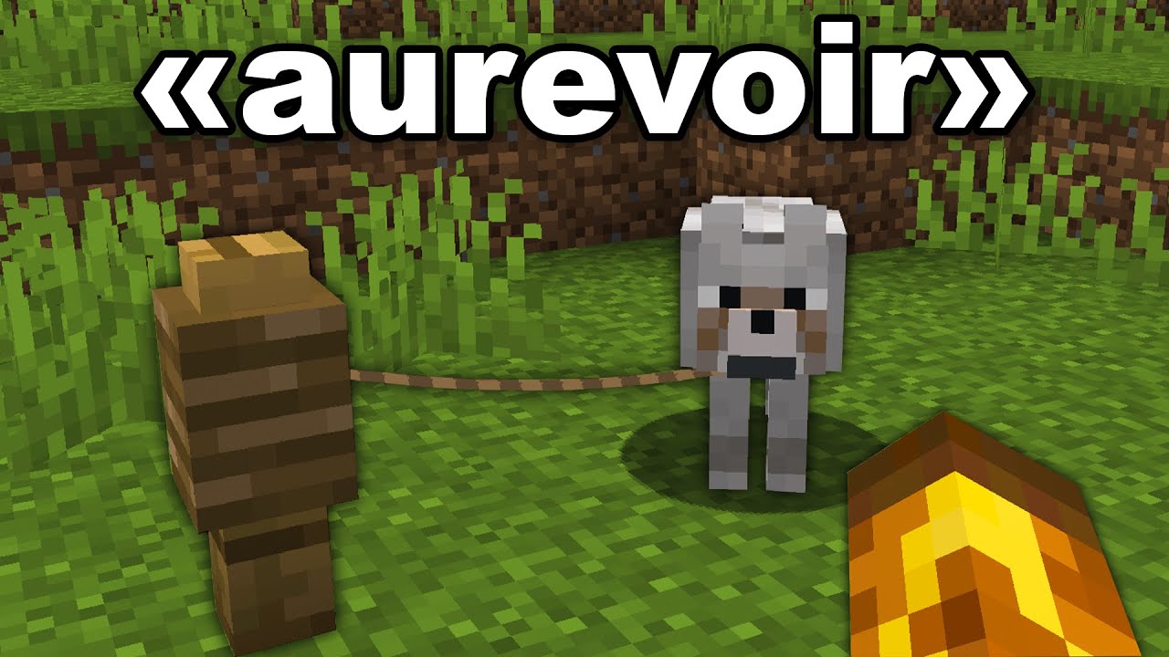 ne-faites-pas-a-youtube