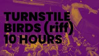 Download Lagu TURNSTILE - BIRDS | RIFF 10 HOURS! MP3
