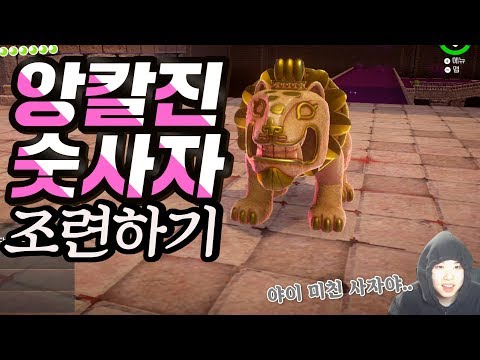 [하지] 앙칼진 숫사자 조련하기
