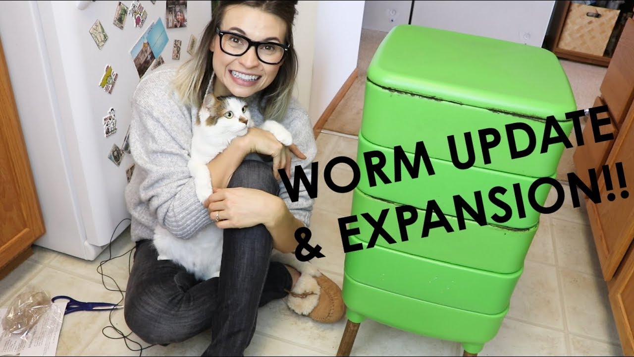Worm Update Expansion Soooo Many Red Wigglers Worm Update Expansion Soooo Many Red Wigglers