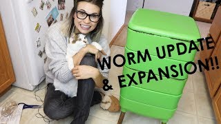 WORM UPDATE & EXPANSION - SOOOO MANY RED WIGGLERS!