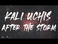 Kali Uchis After The Storm Lyrics Ft Tyler The Creator Bootsy Collins