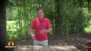 Working Line German Shepherd Vs Show Line German Shepherd