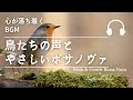 Natural Sonic 鳥たちの声とやさしいボサノヴァ 心が落ち着くBGM Natural Sonic 鳥たちの声とやさしいボサノヴァ 心が落ち着くBGM