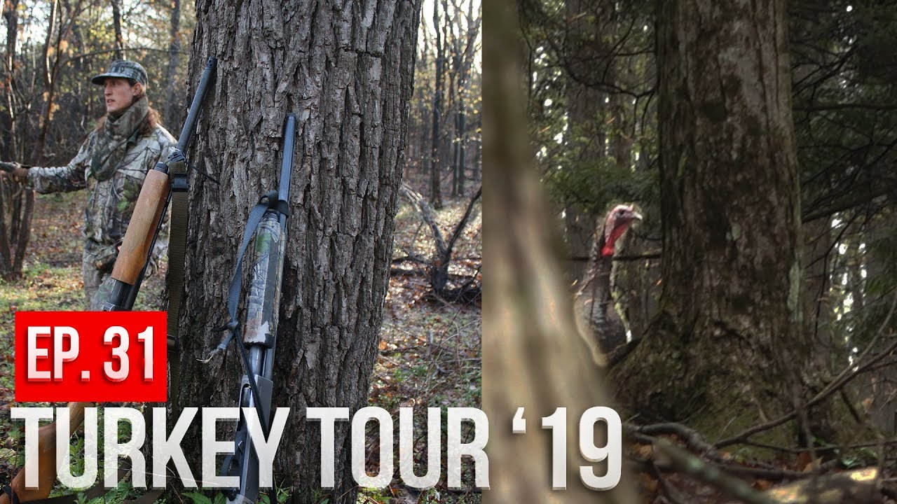 NEW YORK PUBLIC LAND TURKEY HUNTING First Day Action! YouTube