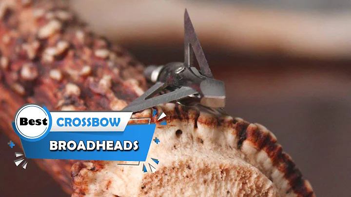 Best Crossbow Broadheads [Top 5 Reviews] - Crossbow Bolts for Target Shooting [2023]