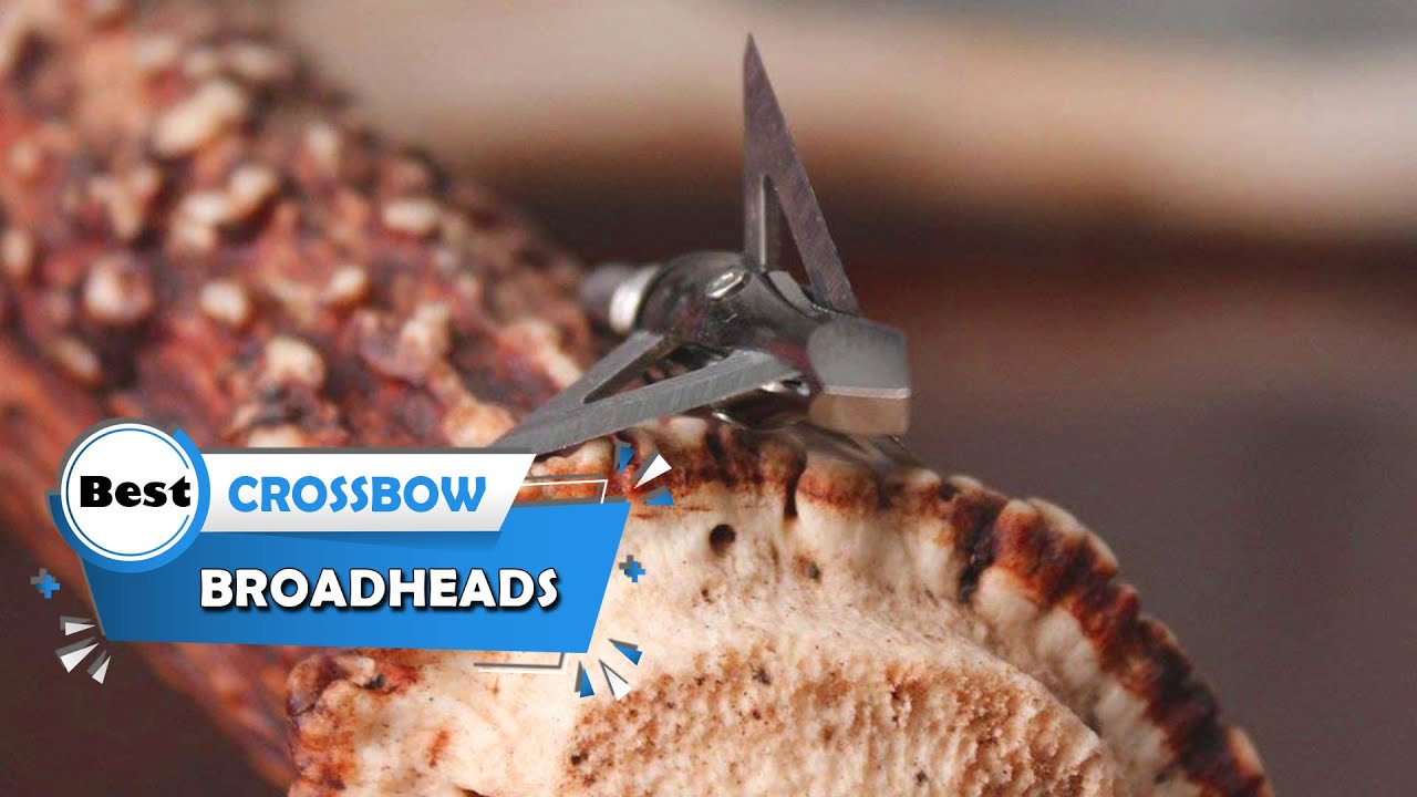 Best Crossbow Broadheads [Top 5 Reviews] Crossbow Bolts for Target
