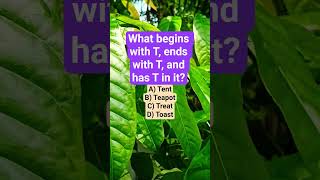 What Begins With T, Ends With T, And Has T In It?