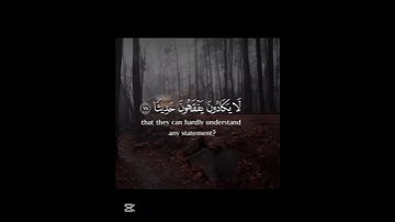 أجر لي ولكم 😴#قرآن#المصحف#ياسر_الدوسري#تلاوة_خاشعة#تلاوات♥️😴