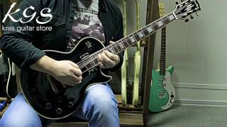 Grass Roots G-LP Les Paul Custom