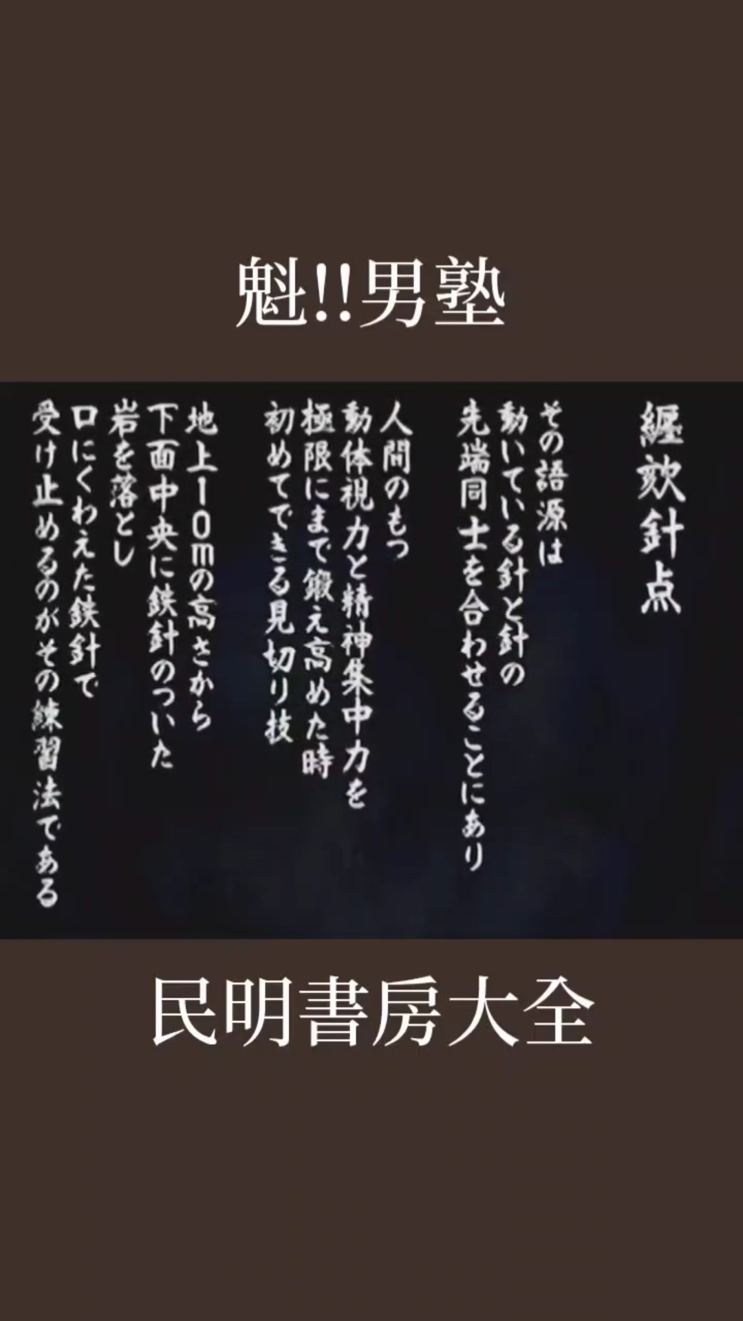 知っているのか】PS2「魁!!男塾」民明書房大全「纒欬針点」【雷電