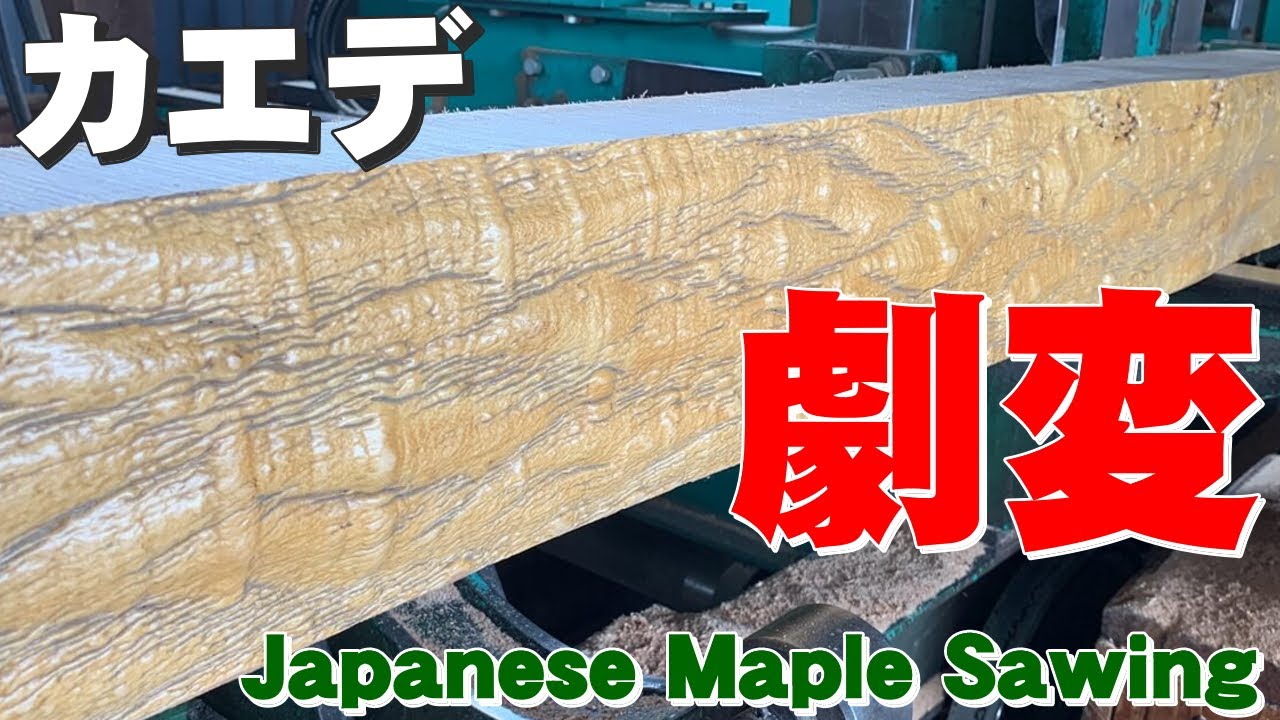 What Kind of Grain Will Appear!? Resawing Maple Framing Lumber