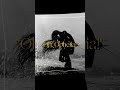 Whoops, I’m late #author #greekmythology #oc #edit #book #poseidon #apollo #eris #lgbt #music #fypシ