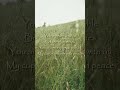 Song of Psalm 23 to Sooth your Anxiety and Fears 🌙 Peaceful Worship for bringing you closer to God